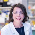 Prof Kate Sutherland, Lab Head