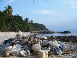 Solid waste management is a high priority issue for all societies around the world and owing to major complexity problem nowadays. Waste Management In Malaysia In The Dumps Clean Malaysia