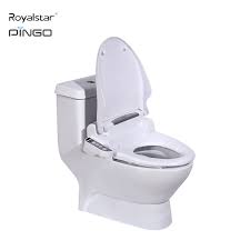 China Automatic Pressurized Warm Water Self Flush Washing Toilet Bidets Covers China Toilet Seat Dispenser Automatic Toilet Seat