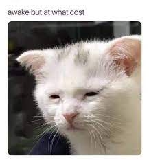 Just Tired Meme By Ziggystarburst Memedroid