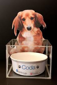 Sdhs Donation Box Dog Animal Fundraising Animal Shelter Donations Animal Shelter Fundraiser