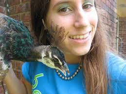 can you tame peafowl?