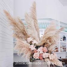 Maybe you would like to learn more about one of these? China Pampas Grass Dried Preserved White Fluffy Bohemian Wedding Decor Tall Vase Flowers White Ornamental Grass China Pampas Grass And Pampas Grass Decor Price