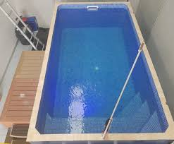 Super Swim Poles For Plunge Pools Direct Plunge Pool Cost Pool Cost Plunge Pool