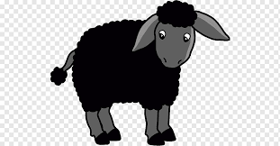 We did not find results for: Buku Mewarnai Kambing Domba Hitam Anak Domba Mamalia Anak Hewan Png Pngwing