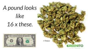 It's usually a bit more cost effective than buying a single gram; How Much Is A Gram Quarter Half Ounce And Ounce Of Weed
