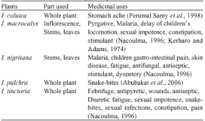 Image result for Indigofera macrocalyx