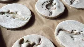 Salt Dough Fossils @ Western Carteret Branch Library