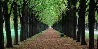 Die imposanten gärten in herrenhausen laden nicht nur brautpaare zum spaziergang ein. Herrenhauser Garten In Hannover Spaziergang Vom Studenten Schloss In Den Grossen Garten Horizons By Eurowings