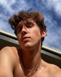 After gaining popularity as a singer on youtube and in australian. Troye Sivan Ding Dong Facebook