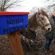 Wir freuen uns, wenn du eines (oder auch mehrere) von uns in dein herz läßt. Pferdehalter In Not Konnen Tier Anonym Bei Der Pferdeklappe Abgeben Welt