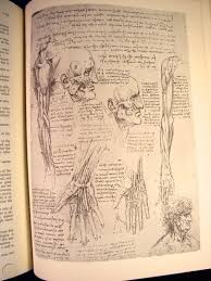Learn how to draw human anatomy for beginners with artist and author, jeff mellem. 1952 Leonardo Da Vinci Human Body Book Anatomy Drawings Art Student Must Rare 1751578575
