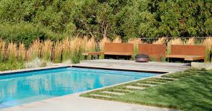 What To Plant Around A Swimming Pool Bioguard Aus Nz