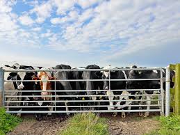Cattle guards build it your self and save money Benefits Of A Cattle Guard How It Works With A Bump Gate Drive Through Farm Gate Opener No Electricity Required Bump N Drive