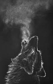 White Charcoal Drawing Black Paper Wolf Google Search Goruntuler Ile Boyama Kalemi Cizimleri Siyah Kagit Cizim Egitimleri
