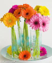 Colorful Gerber Daisies Colorful Group Flowers Vase Daisy Gerber Fake Flower Centerpieces Flower Arrangements Spring Flower Arrangements