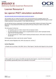 Check spelling or type a new query. Lac Operon Lab Simulation Worksheet Answers