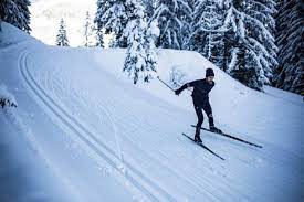 The Best Cross Country Skis And How To Choose Them Gearjunkie