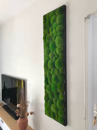 Deco Tableau Vegetal Mur Vegetal Tableau Vegetal Tableau Vegetal Stabilise