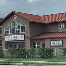 All pets clinic in lakewood ranch provides the highest quality, compassionate veterinary care to ensure your pets enjoy. Animal Hospital At Lakewood Ranch 10 Photos 18 Reviews Pet Groomers 9115 58th Dr E Bradenton Fl Phone Number Yelp
