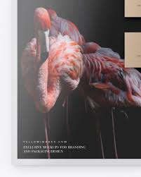 Download 38,504 bird logo free vectors. Glossy A4 Paper W Two Business Cards Mockup In Stationery Mockups On Yellow Images Object Mockups