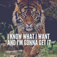 Pin By Raghava Raghav On Body Building Is My Lifestyle Tiger Quotes Motivational Quotes Motivation