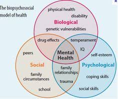 According to engel's model, a person's biological, social and psychological factors are. 25 Biopsychosocial Model Ideas Psychology Clinical Social Work Social Work Theories