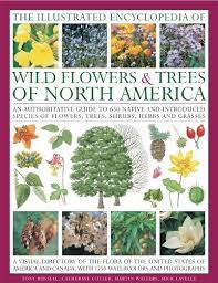 The Illustrated Encyclopedia Of Wild Flowers Trees Of North America An Expert Reference And Identification Guide To Over Flowering Trees Wild Flowers Flowers