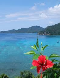 広報せとうち 月号