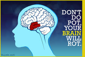 In an overcrowded market, a creative and unique business slogan can be the difference maker. Funny Anti Drug Slogans To Spread Awareness In A Jovial Spirit Wellness Keen