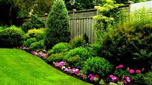 We've gathered more than 5 million images uploaded by our users and sorted them by the most popular ones. Free Photo Beautiful Garden Beauty Flower Fragrance Free Download Jooinn