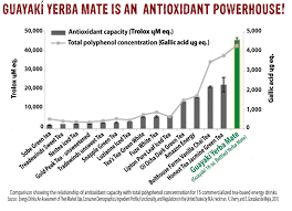 5 reasons why you should drink yerba mate instead of coffee