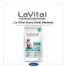 Kaliteli Beslenmek Her Kedinin Hakki Istah Kabartan En Iyi 6 Kedi Mamasi