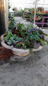 Pin On Garden Center