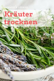Krauter Trocknen Im Dorrautomat Wie Kann Man Krauter Am Besten Trocknen Wir Beantworten Hier All Deine Fragen Krauter Trocknen Dorrautomat Lebensmittel Essen
