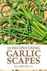 Chives easily keep for 4 to 6 months, longer if kept at a constant temperature of 0 degrees fahrenheit. How To Freeze Garlic Chives Arxiusarquitectura
