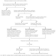 Assessment Of Microscopic Hematuria In Adults American Family Physician