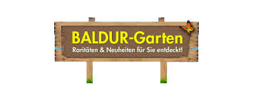 Baldur garten bietet eine große auswahl an pflanzen für jede jahreszeit sowie ein reichhaltiges beim nächsten einkauf bei baldur garten mit gutscheinen von mydealz noch günstiger bestellen. Bei Baldur Garten Auf Rechnung Bezahlen So Geht S Bybill De