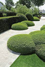 16 Marvellous Topiary Ideas Live Diy Ideas Garden Hedges Landscape Design Garden Design