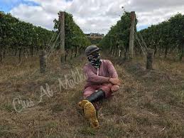 Engineering managers, production managers, child care centre managers. Wanita Ini Dedah Hakikat Sebenar 3 Tahun Pengalaman Menjadi Pekerja Ladang Di Australia Mingguan Wanita