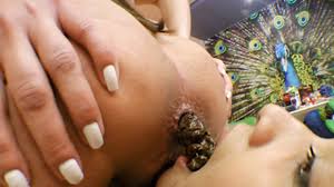 Scat Video | Pee videos | Scat into the mouth - Scat Real Swallow - Lick My  Ass And Eat All My Shit You Fucking Bitch - By Cristiane Fatally