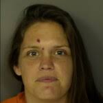 Horry County Mugshots February 14th, 2024