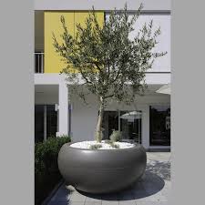 Olive Tree Planter Modern Garden Modern Planters Modern Landscaping