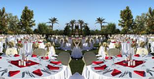 24 Hours Party Rentals Provide Vip Chair With Cushions Party Rentals Cheap Office Chairs Dining Table Chairs