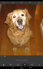 ¡haz que las fotos cobren vida! Adobe Photoshop Express Para Android Decargar Gratis