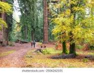 35+ Thousand Forest Therapy Royalty-Free Images, Stock Photos & Pictures |  Shutterstock
