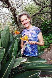 Splitting a bird of paradise plant into several individual plants is much less difficult than it sounds. Bird Of Paradise Plant Care