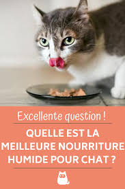 Quelle Est La Meilleure Nourriture Humide Pour Chat En 2020 Chats Et Chatons Chat Chats Adorables