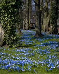 Alnwick Gardens Northumberland England Went Here A Few Years Ago Can T Wait To Go Back Nature Aesthetic Poison Garden Beautiful Gardens