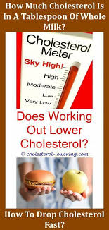 Cholesteroldiet How To Fight Cholesterol Naturally What Is